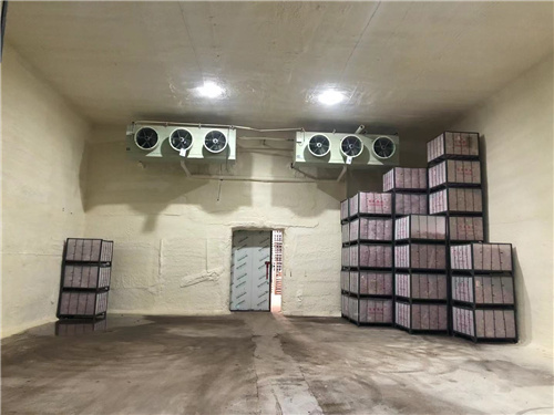 安博线上平台(集团)官方网站苹果冷库安装案例