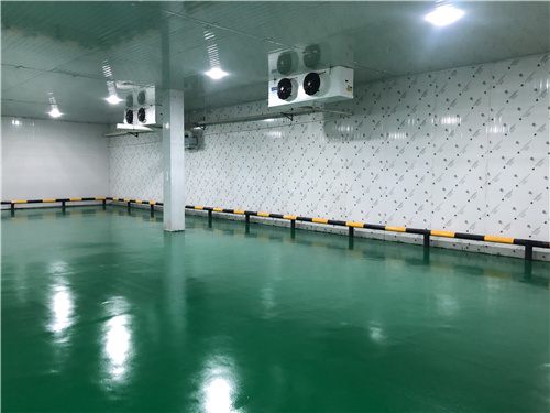 安博线上平台(集团)官方网站蔬菜保鲜库